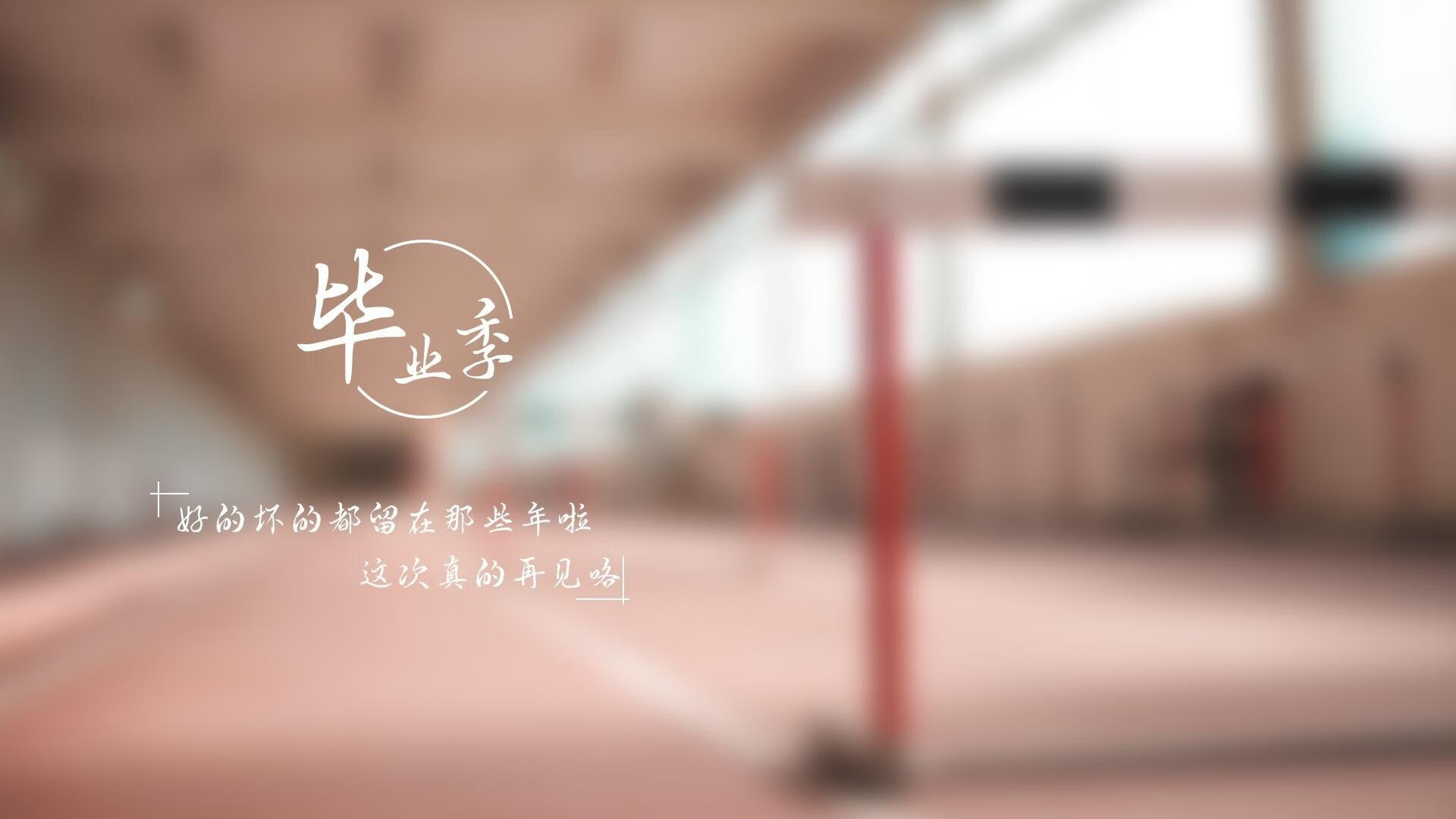 千叶喷射机球员伤病逐渐恢复，千叶喷射机篮球