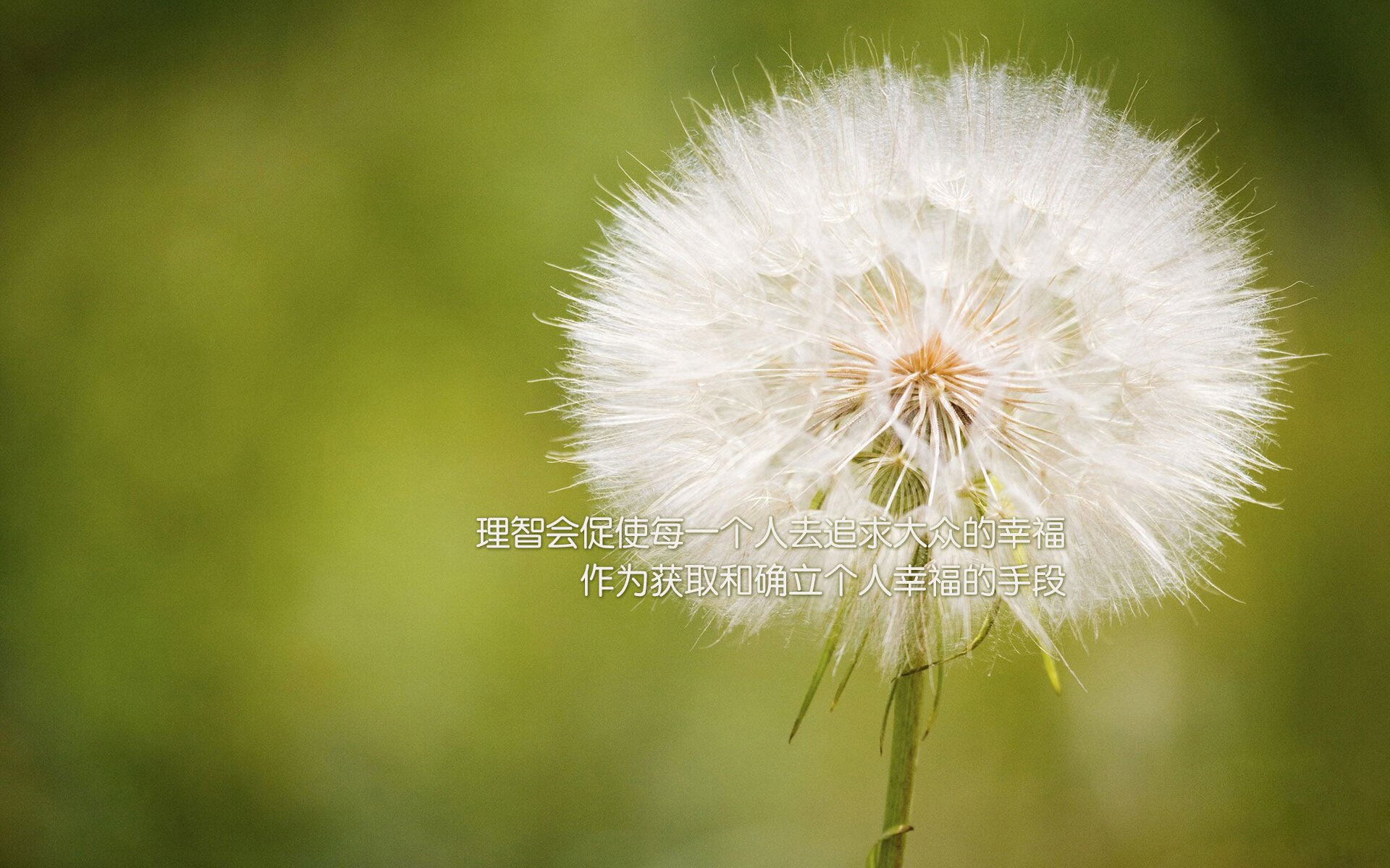 巴萨客场逆转获胜，提升积分排名，巴萨新赛季客场