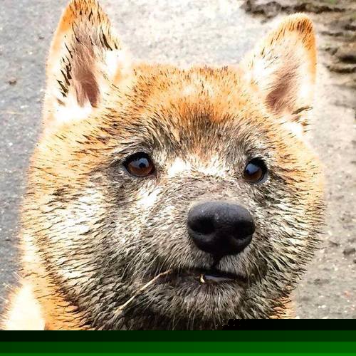 中小学体育教师教学技能提升方法,中小学体育教学的基本技能