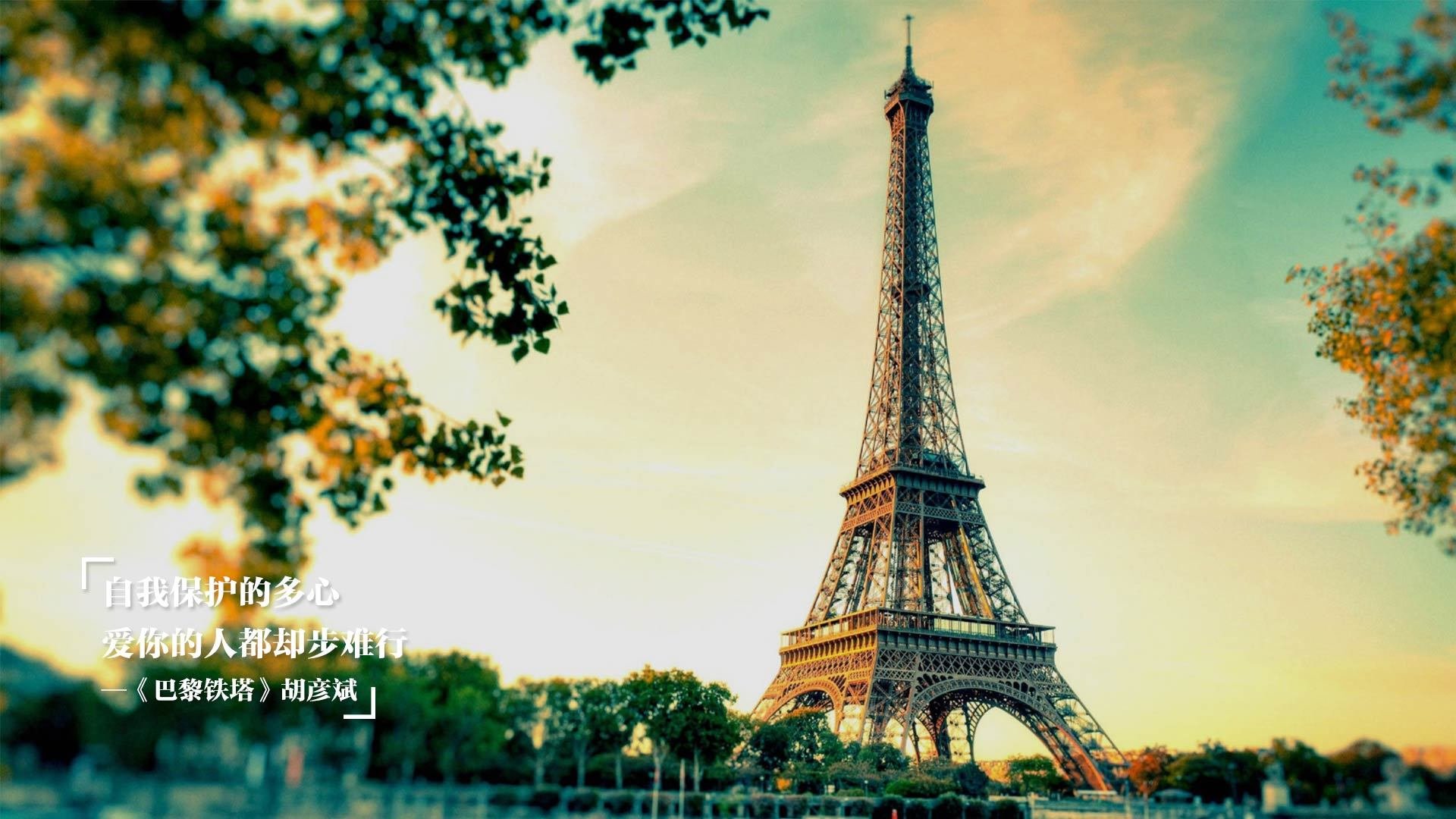 国足比赛球员任务执行一致性评分体系,国足比赛技术统计