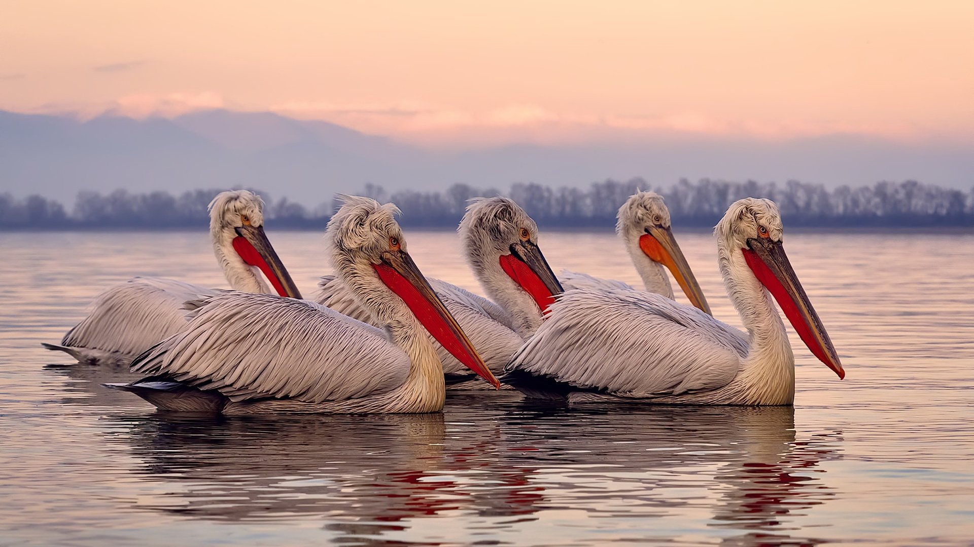 德甲球队动态体能衰减建模用于替补登场时机计算