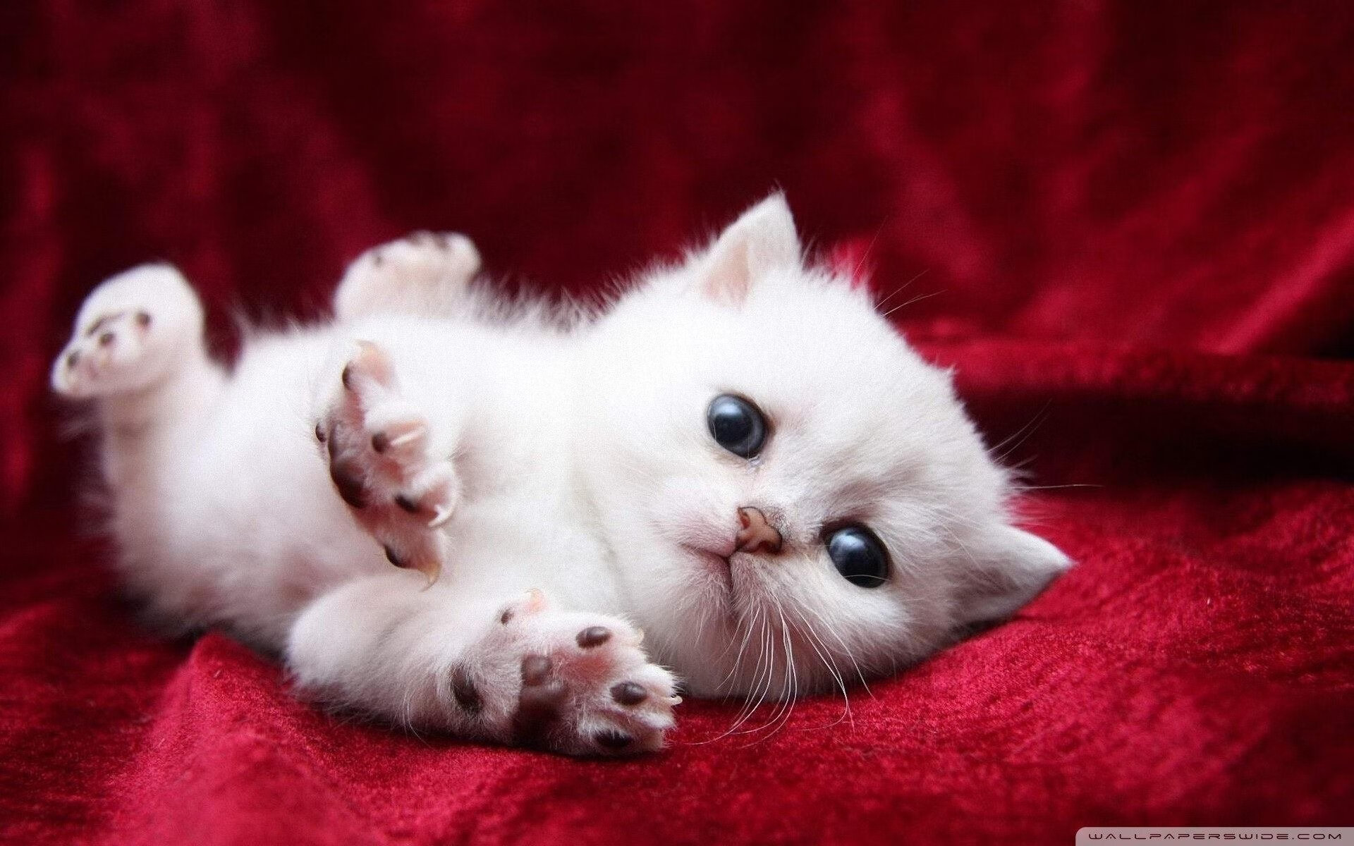 爱游戏体育客户端-新闻中心公布技术研发成果，新技术成果展示