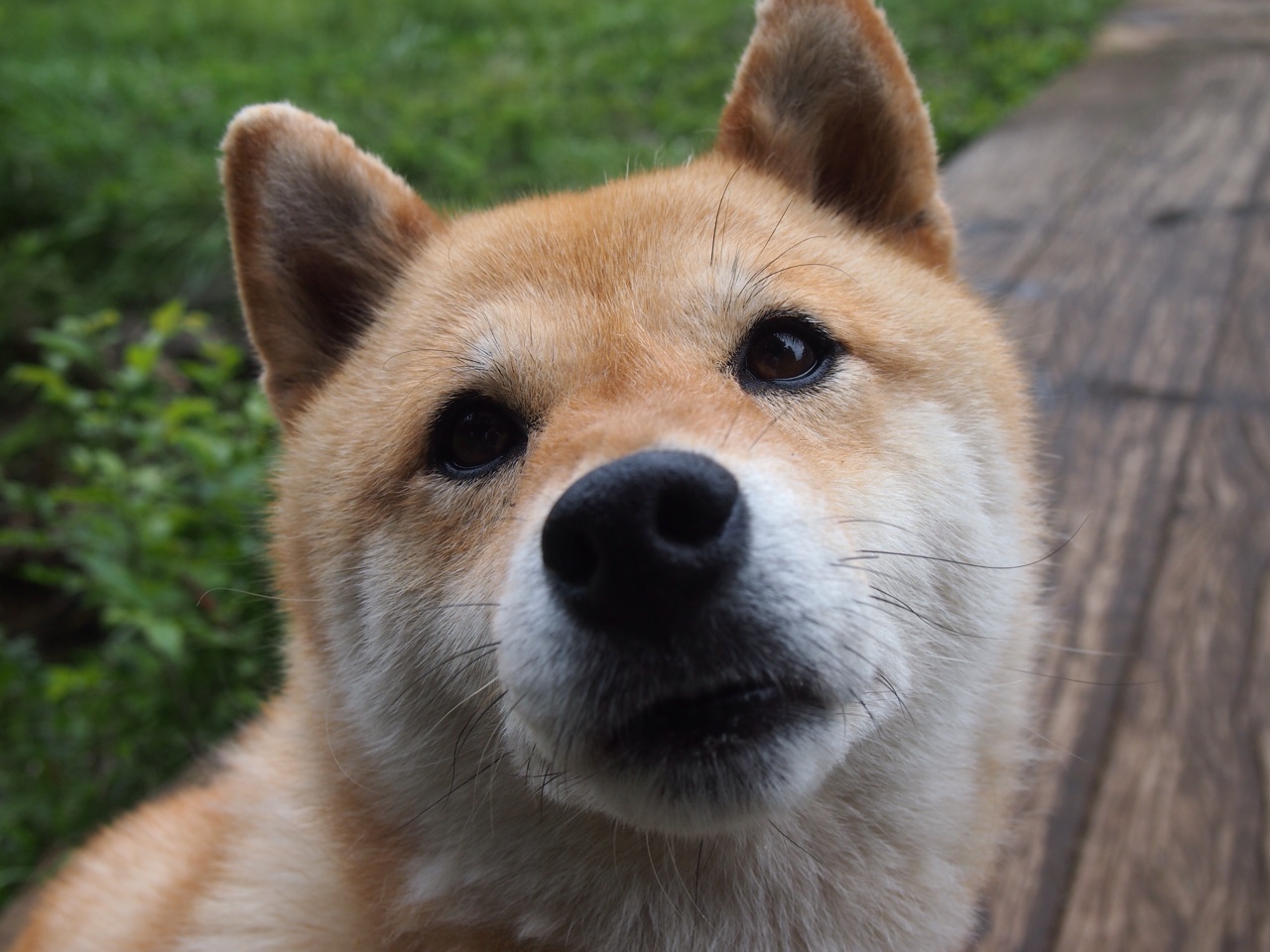 法甲球队情绪波动对技战术执行稳定性的影响探讨