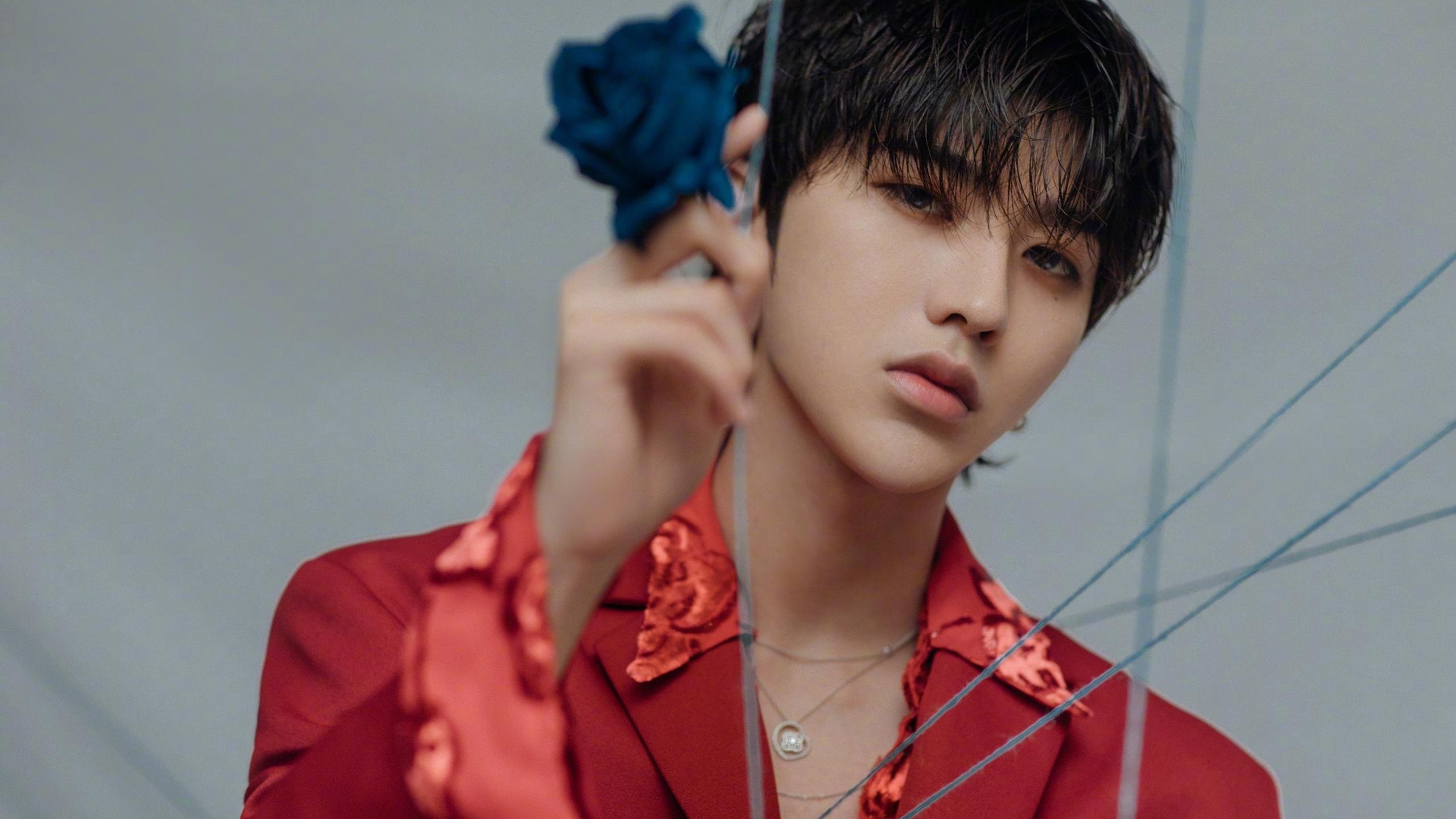 200蝶划水效率变化趋势，画蝶法 计算