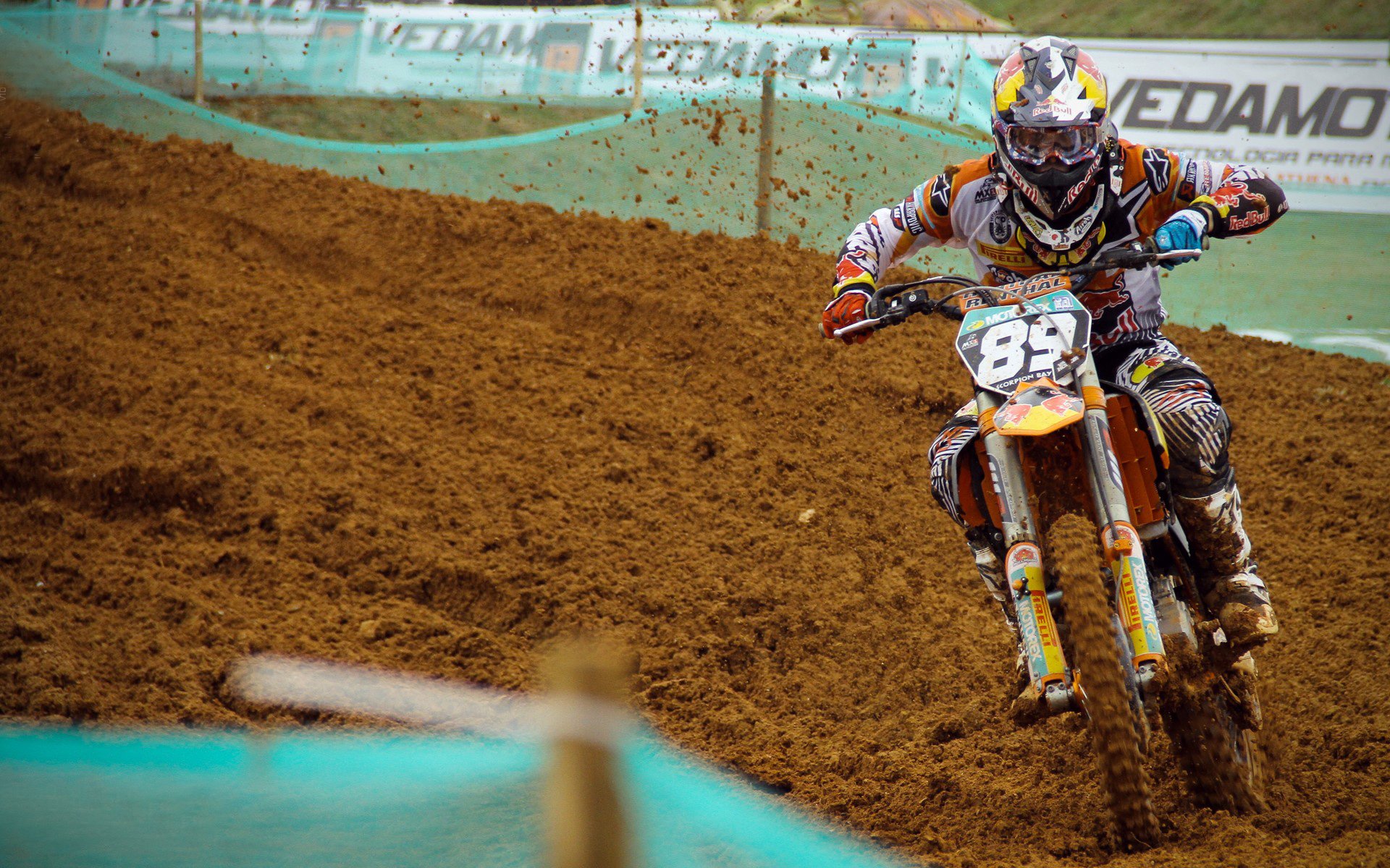 中国小将闪耀泳联赛场 初生牛犊不怕虎