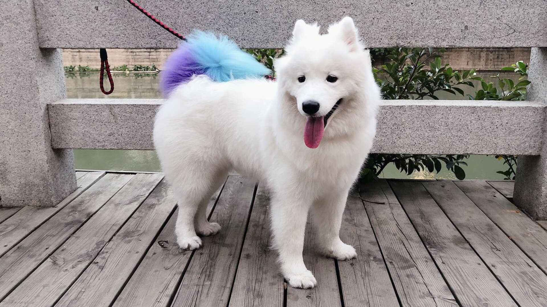 亚冠联赛国家队战胜 球迷鼓励球队奋进,亚冠球队回国了吗