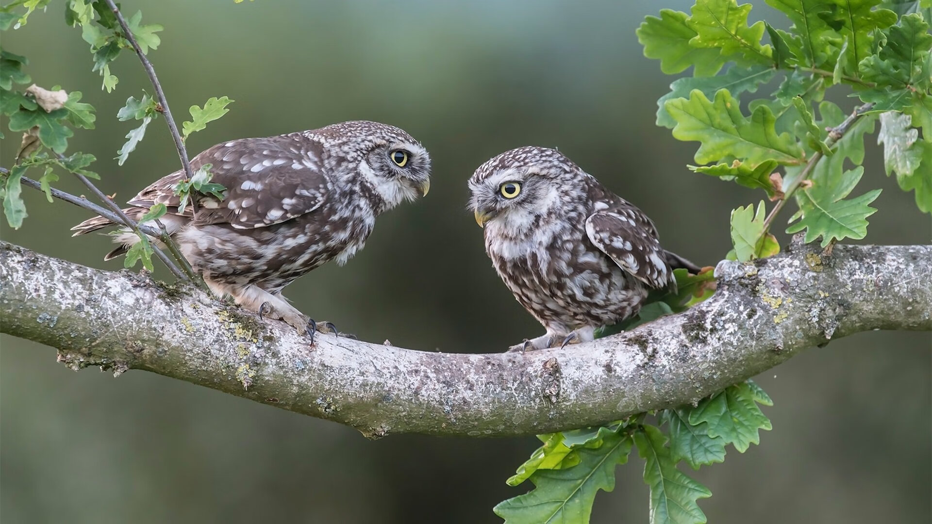 体育健康大讲堂进社区居民反响热烈,体育及健康主题讲座