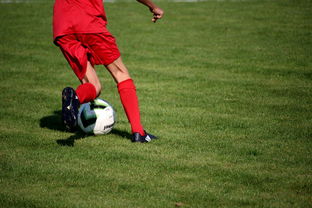 爱游戏GAMING平台-俱乐部青训体系与职业联赛脱节，俱乐部青训有工资吗