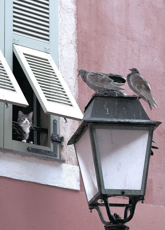 爱游戏-印度队未来展望：走向世界乒乓竞技的巅峰，印度乒乓球联赛